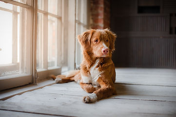 AdobeStock_125314833.jpeg