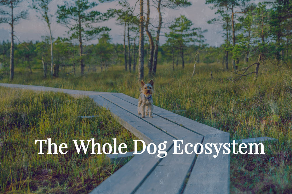 The Whole Dog Ecosystem
