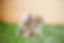 AdobeStock_86820076.jpeg