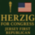 HERZIG FOR CONGRESS