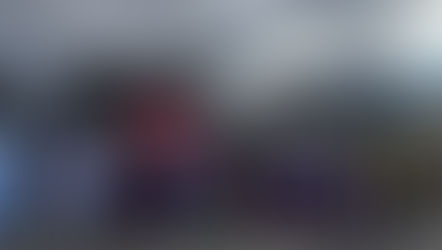 Roter Faschingsumzug 2026