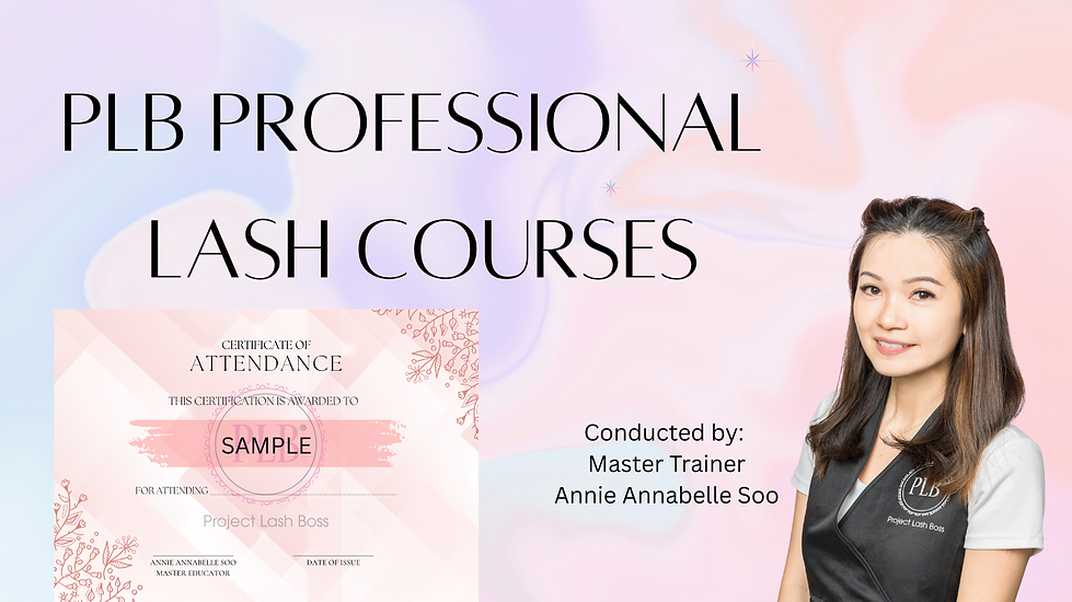 PLB lash courses.png