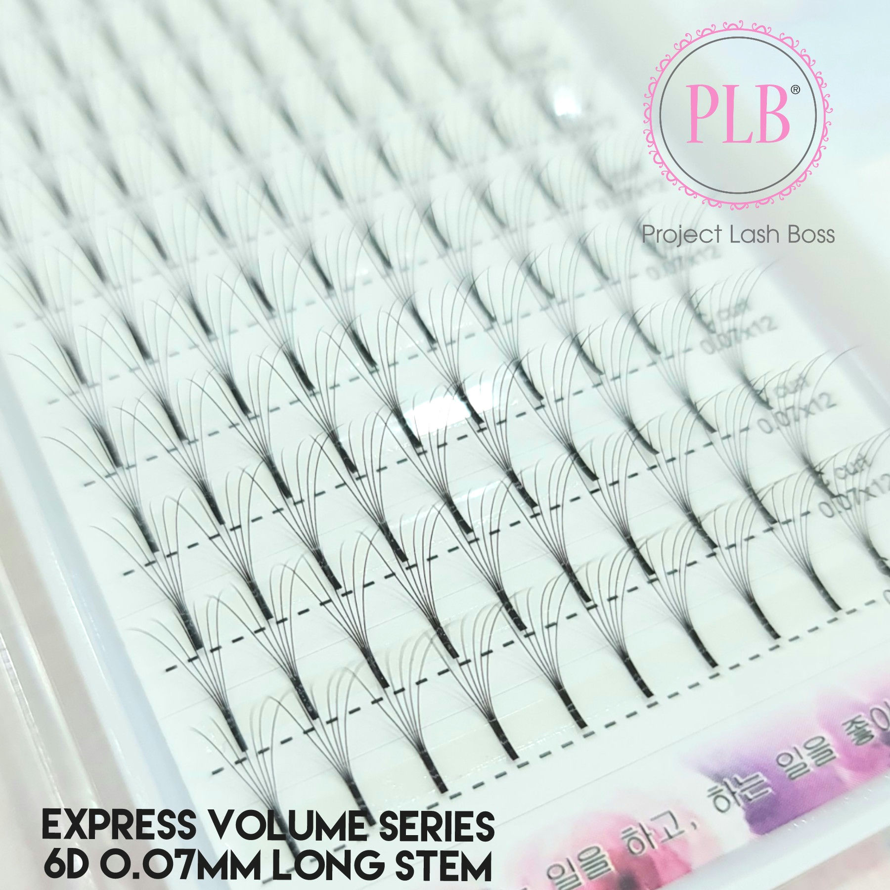 Express Volume Long Stem 6D 0.07mm