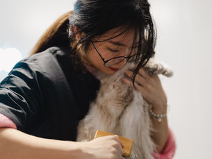 Fear-free Cat Grooming 