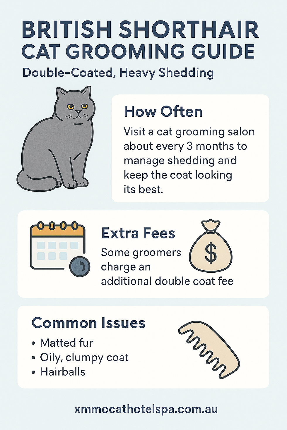 Grooming Guide for British Shorthair Cats: What Every Owner Should Know