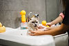 xmmocatspa-016.jpg