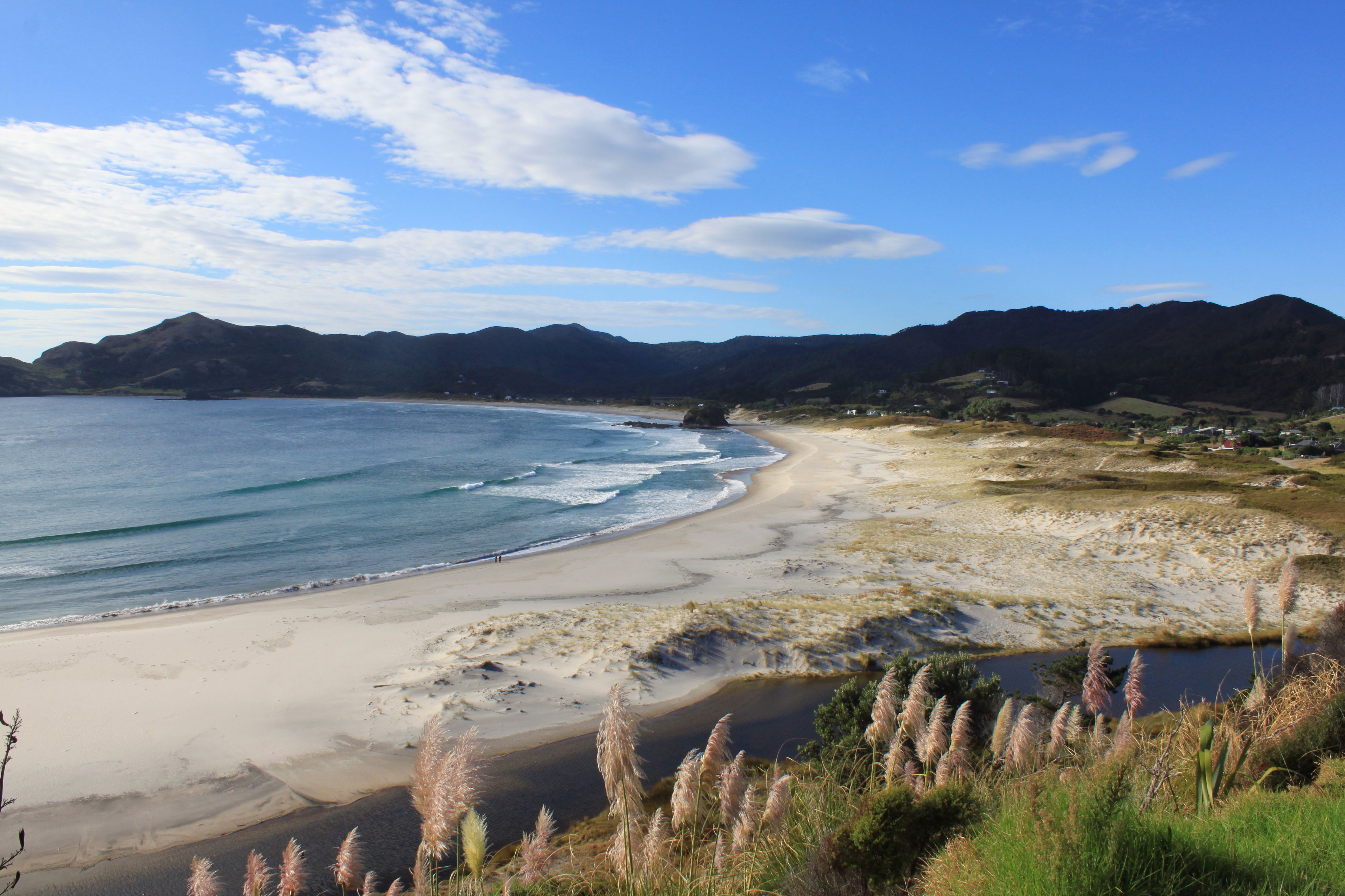 Medlands Beach Backpackers & Villas Great Barrier Island