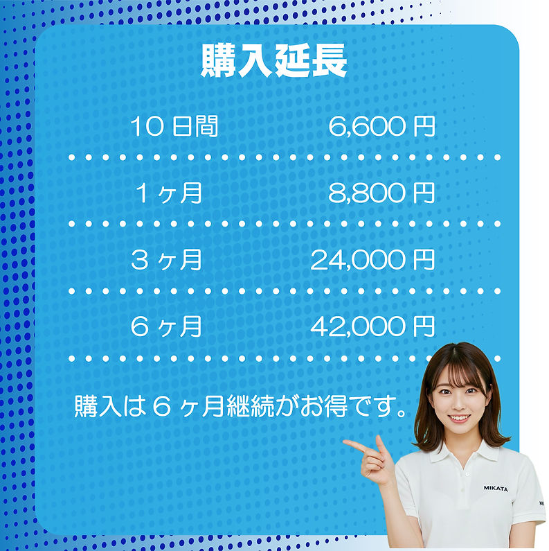 購入 システム延長料金表