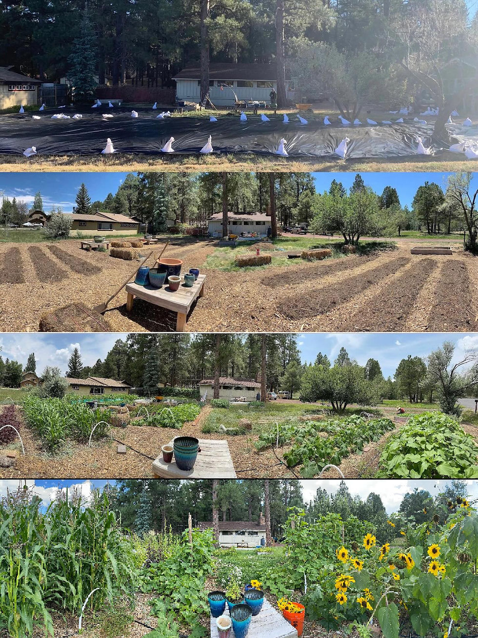 superyard conversion(2) lo.jpeg