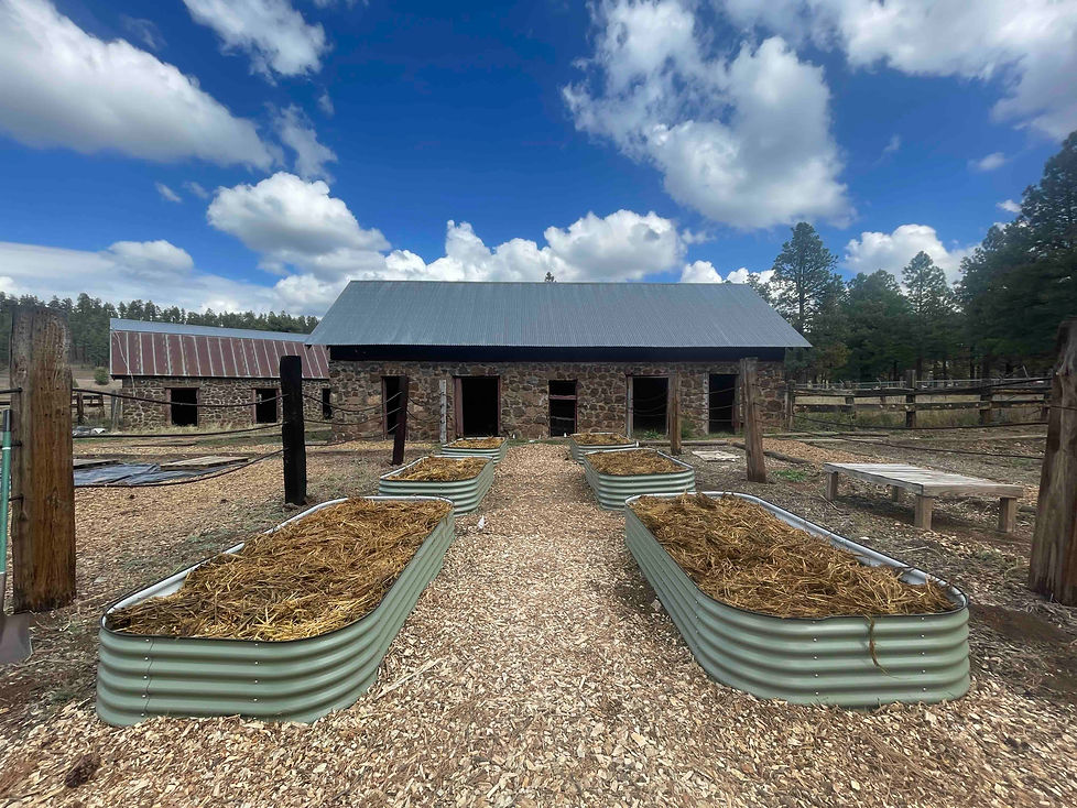 Living History Beds.jpeg