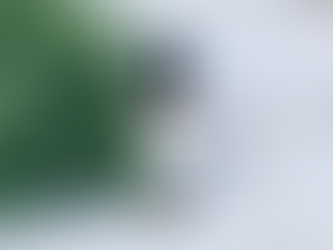 The Benefits of Essential Oil Blends