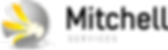 mitchell_services_blackonclear_horizonta