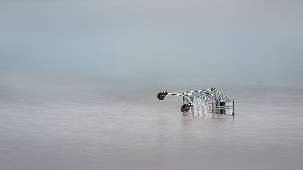 Shopping for Seafood