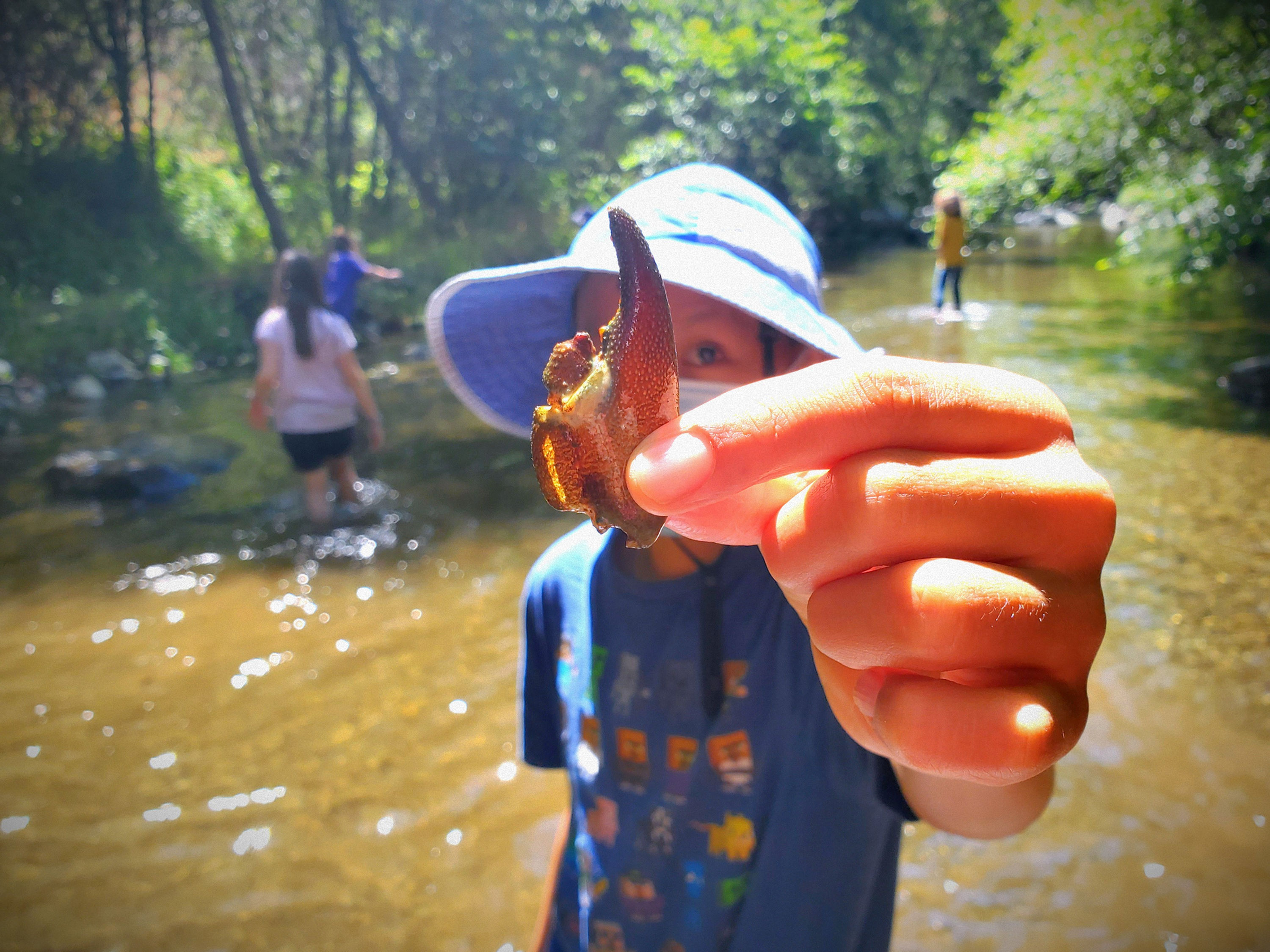 Mountain Odyssey Summer Camp 2022