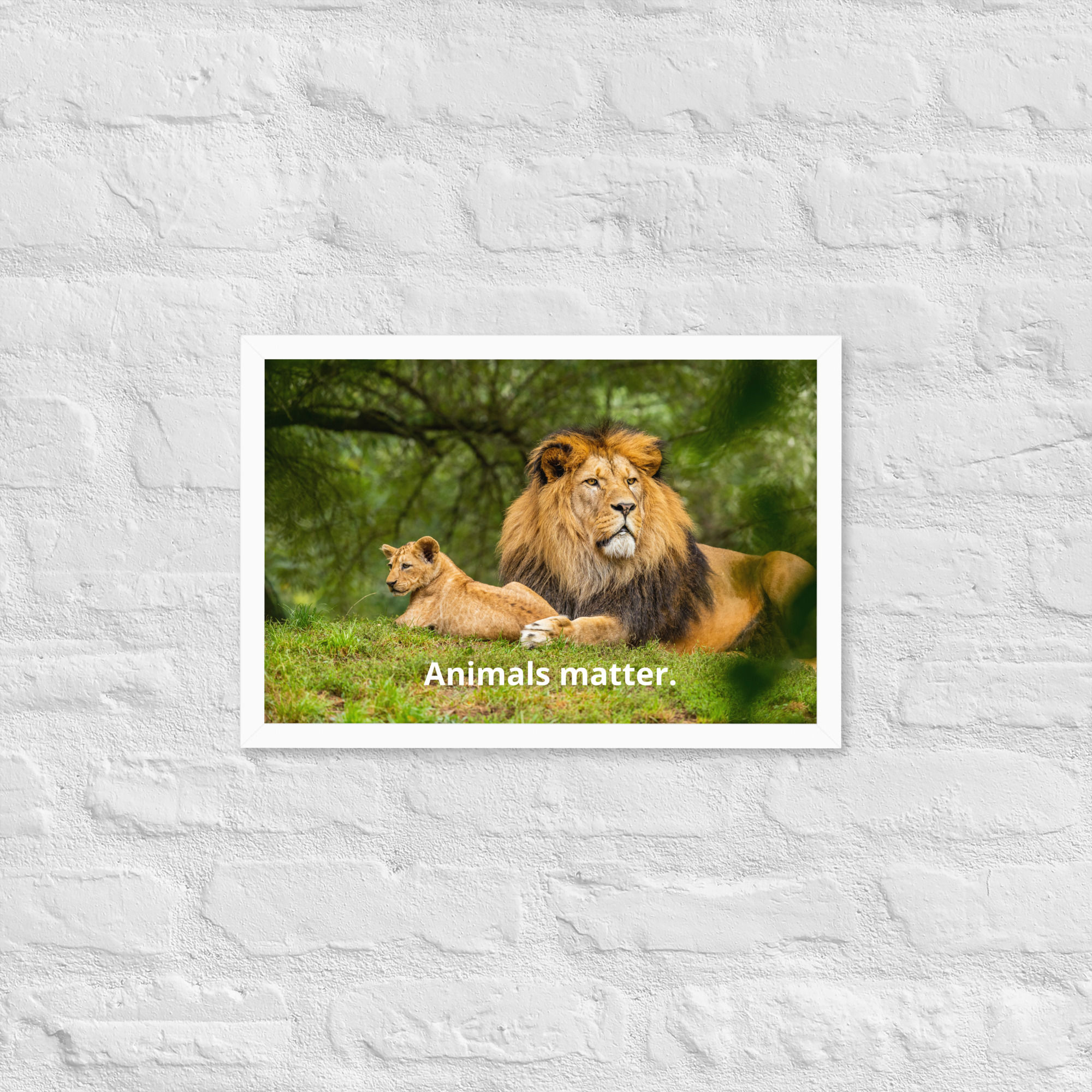 Animals Matter Framed Matte Paper Poster