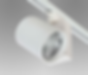 spot.png
