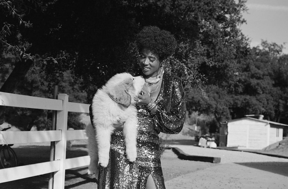 Kelis ve onun MILKSHAKE'İ