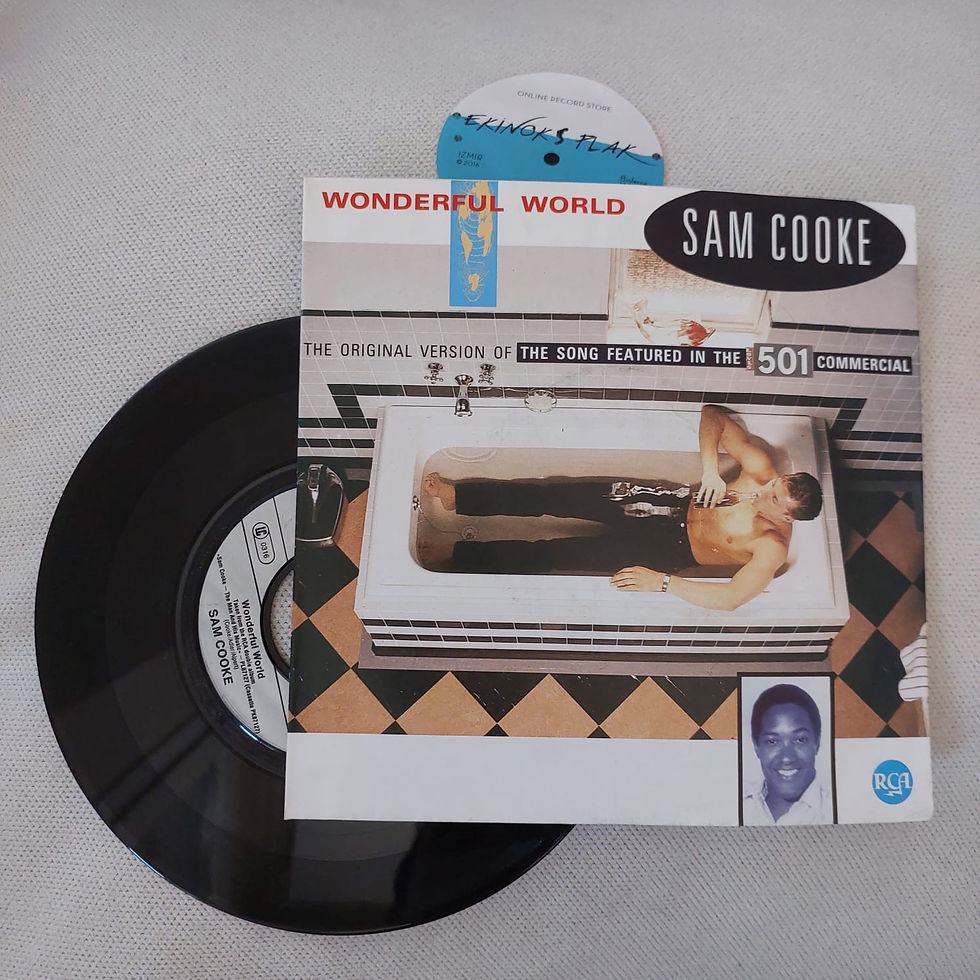 Sam Cooke - Wonderful World, 7", 45lik, Plak