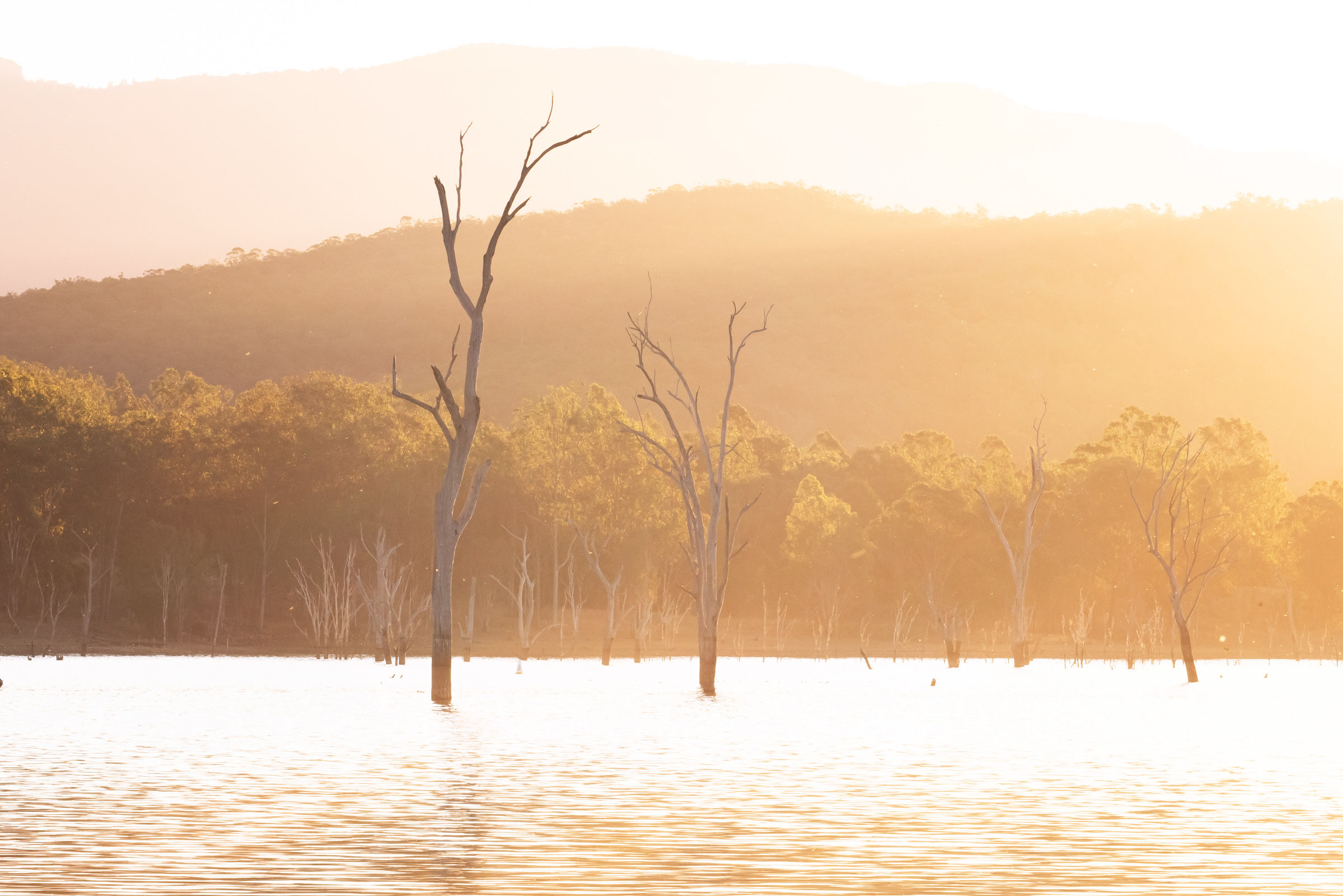 Golden Lake