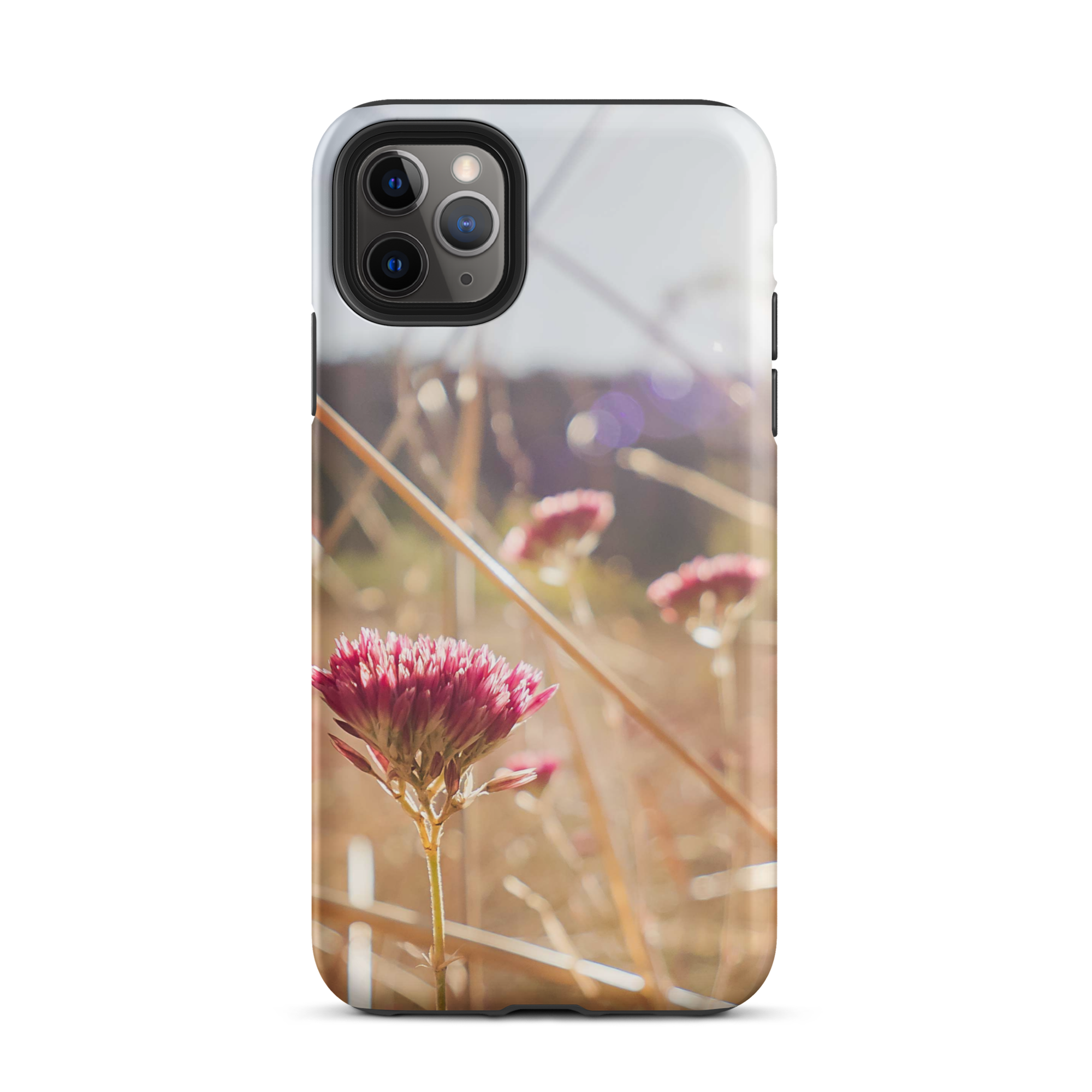 Wild Flowers