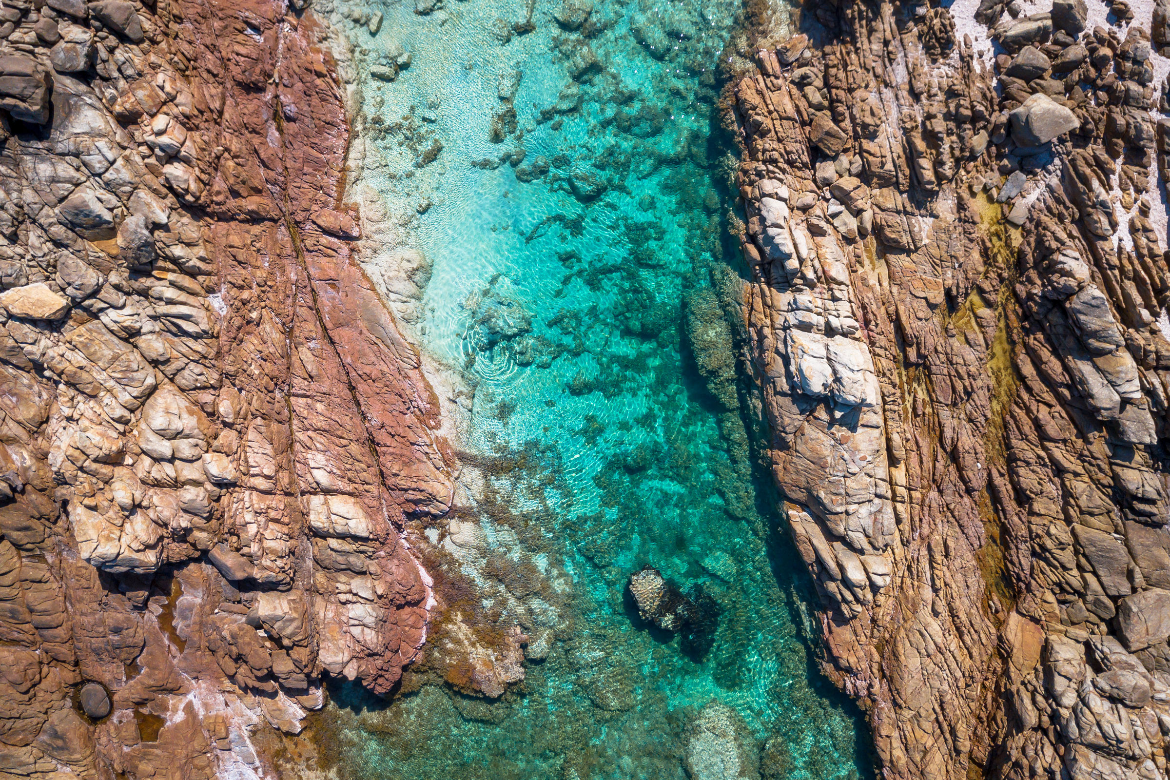The Aquarium II