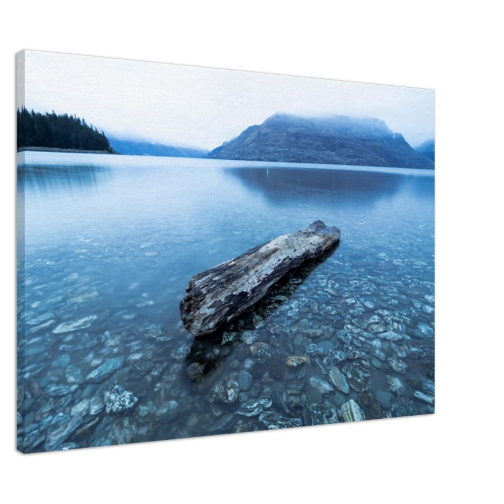 Log in the lake