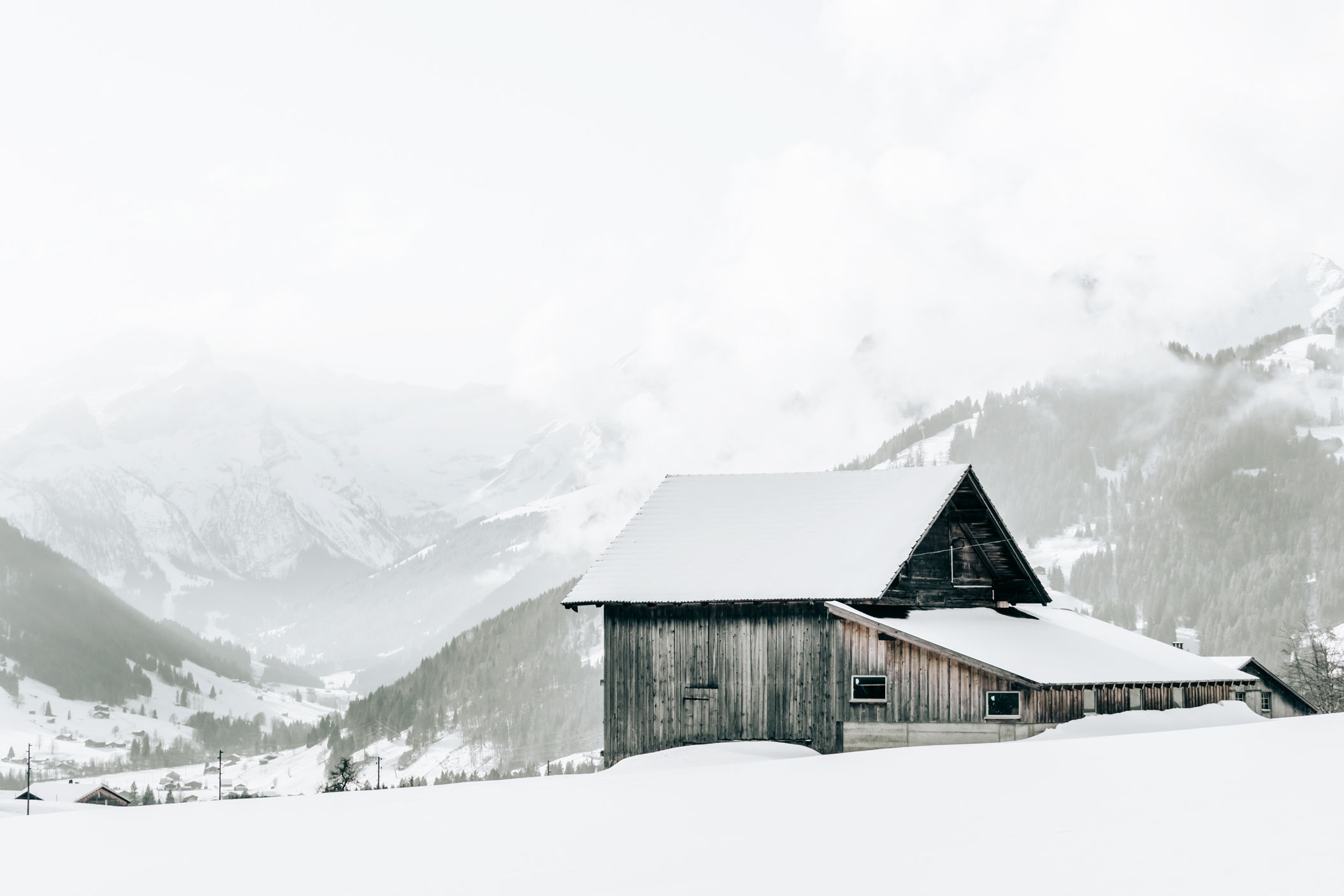 Winter House