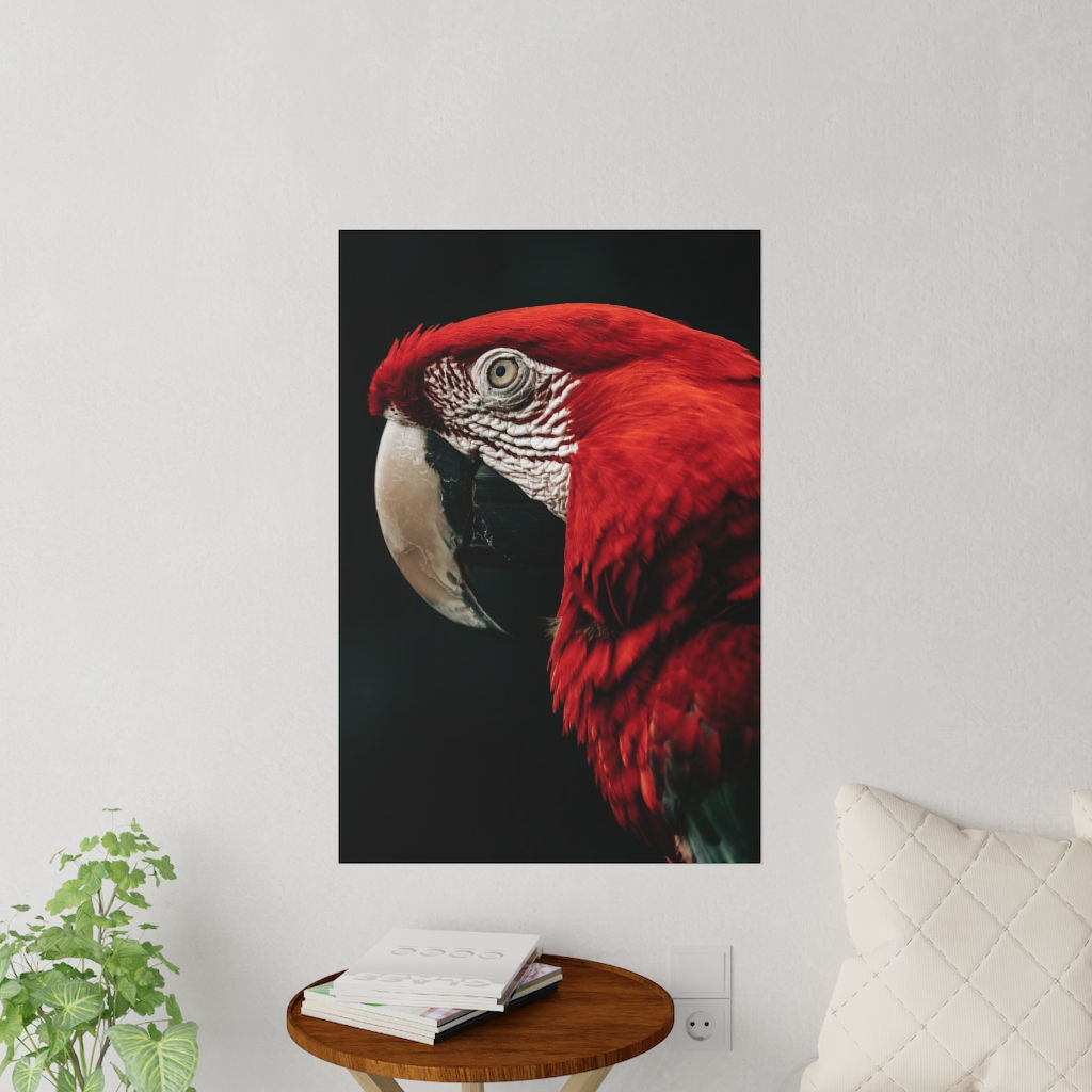 Macaw