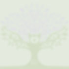 Trasparent Great Tree.jpg