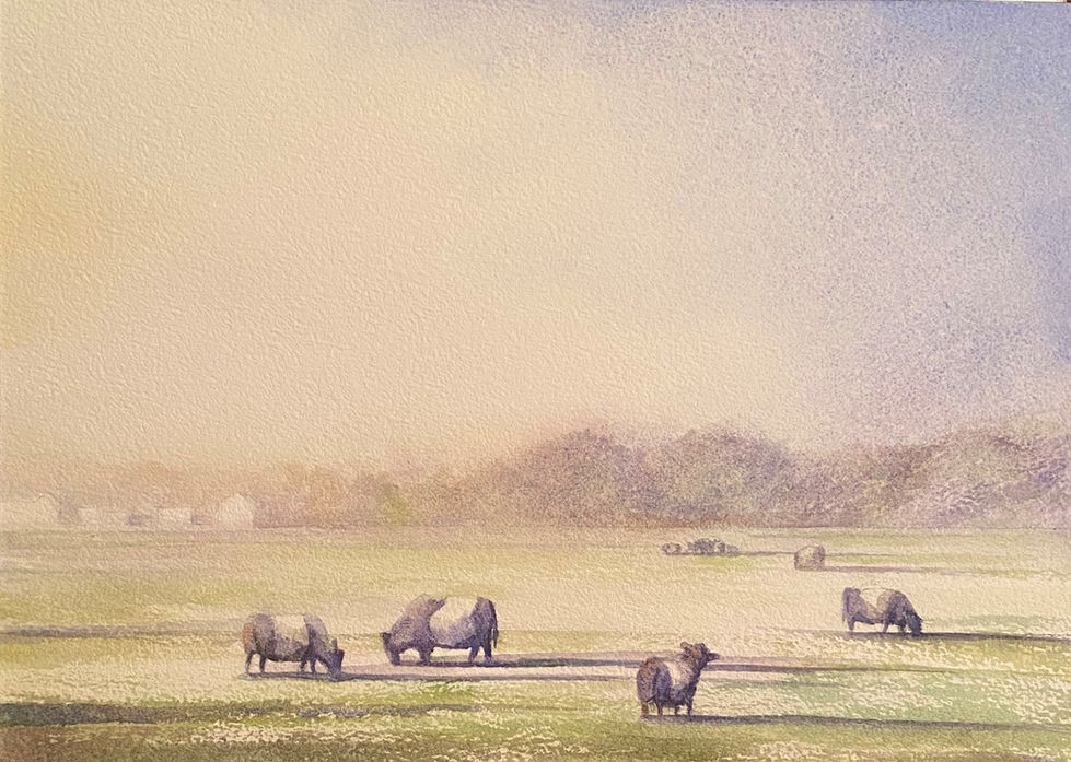 Easton MD cow field watercolor