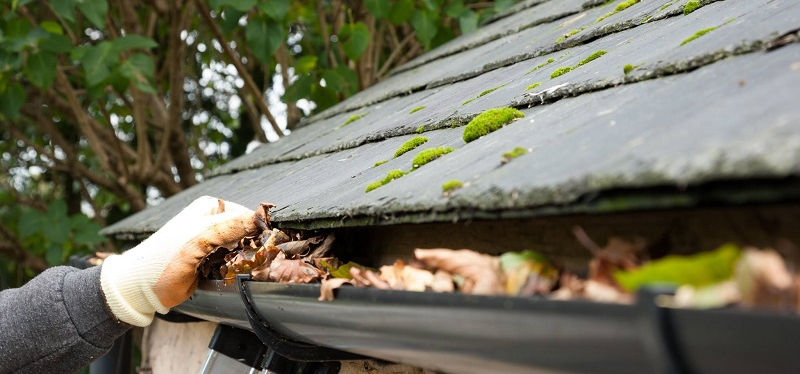 gutter-cleaning-bishopville.jpg