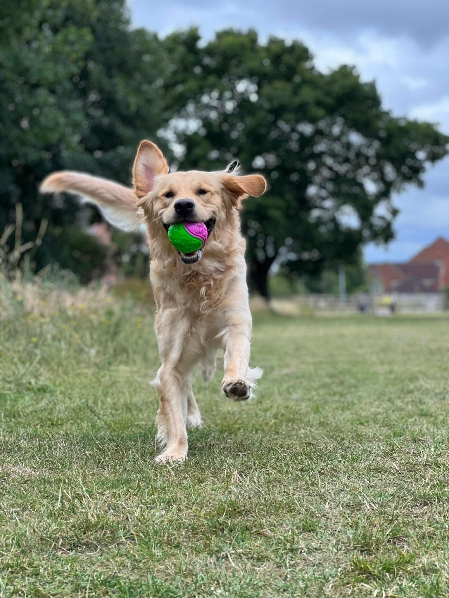 Rebellious to Remarkable Recall!