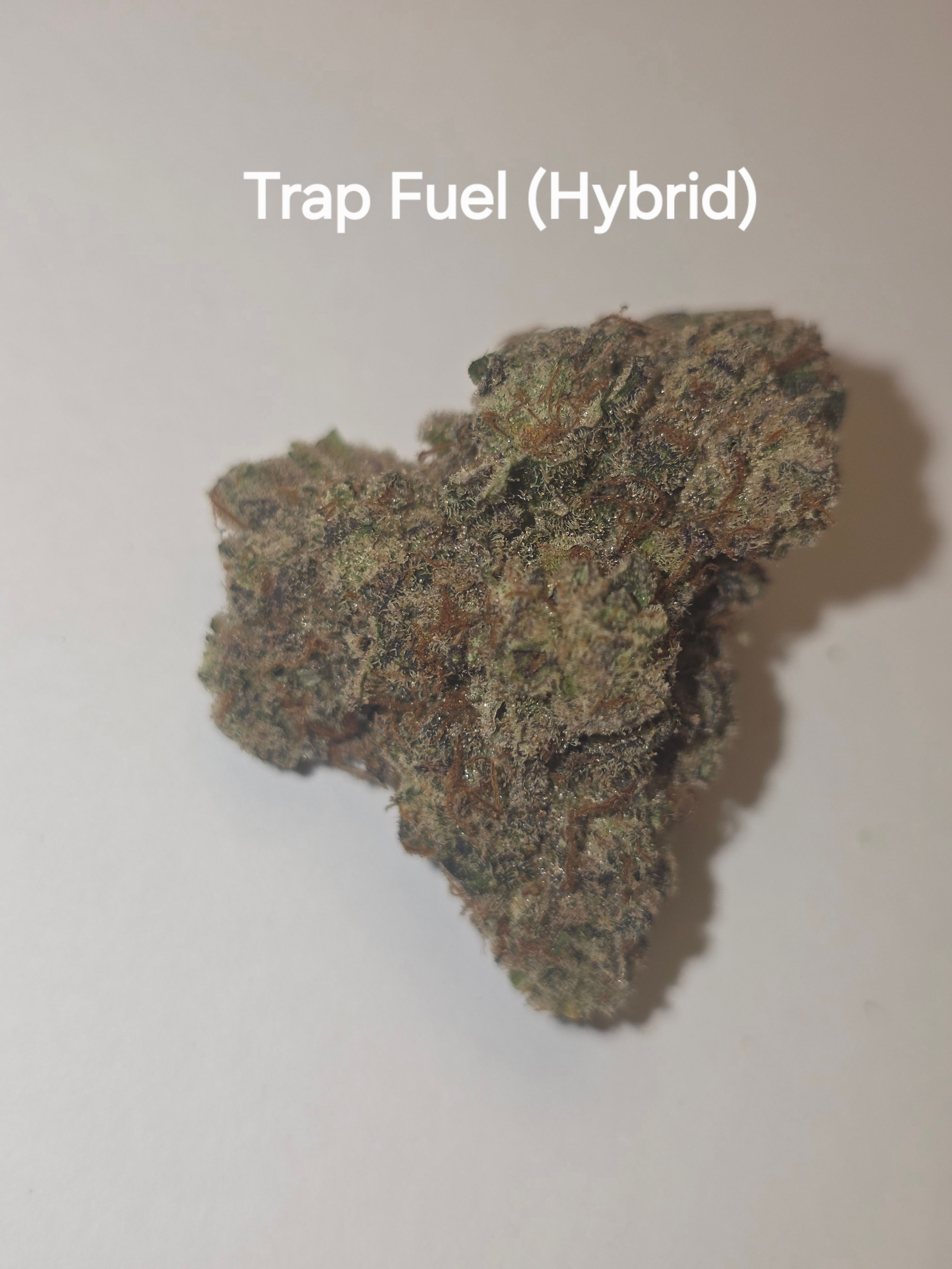 Trap Fuel - Hybrid