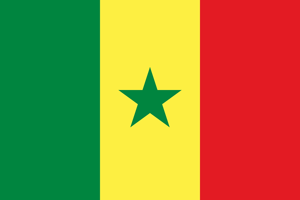 Senegal ARTP Director General appointment 2026: leadership change at the telecom regulator and its type approval impact
