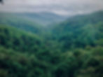 waren-brasse-IzCUWUi_j8I-unsplash-scaled.jpg
