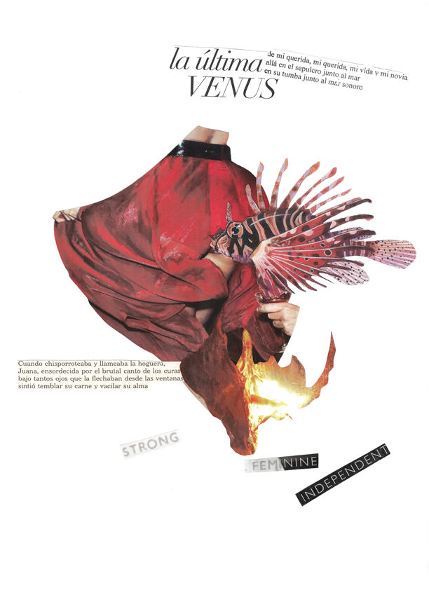 La Última Venus2.jpg