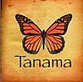 Tanama