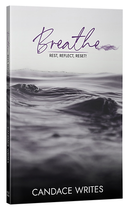 book_cover_breathe.png