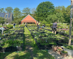 Planten van Hier!