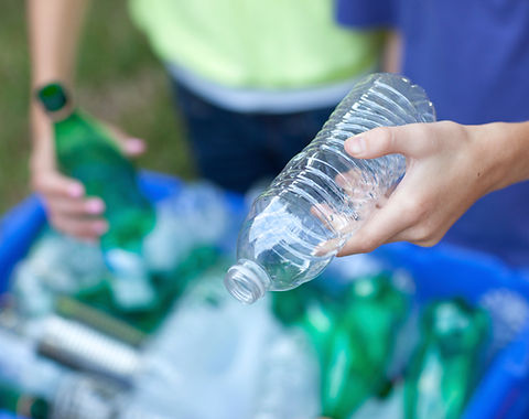 Recycling Bottles