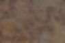 stone veneer surface