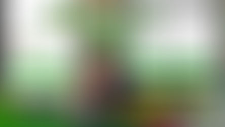 Tips on Instacart - EVERYTHING You MUST Know!!