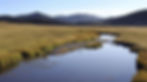 Wetland Delineation