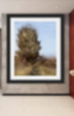 Solitary Irish fairy tree hillside emerald landscape — oil painting print by Noemi Fleming VivRo