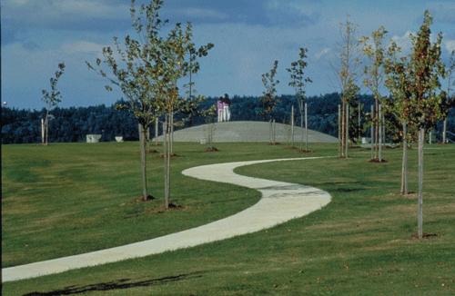 Knoll for NOAA, Martin Puryear, 1981