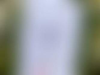 Coloriage du mois d'avril : Pâques, poissons et printemps