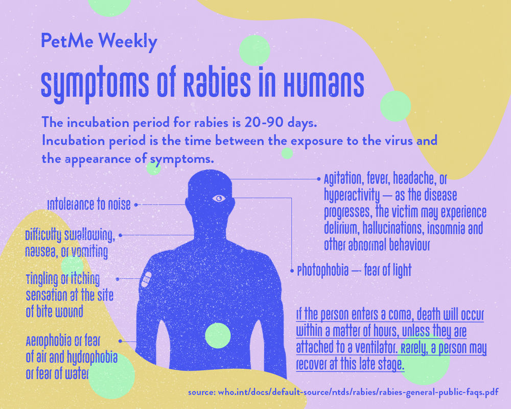 2021 Rabies Awareness Month