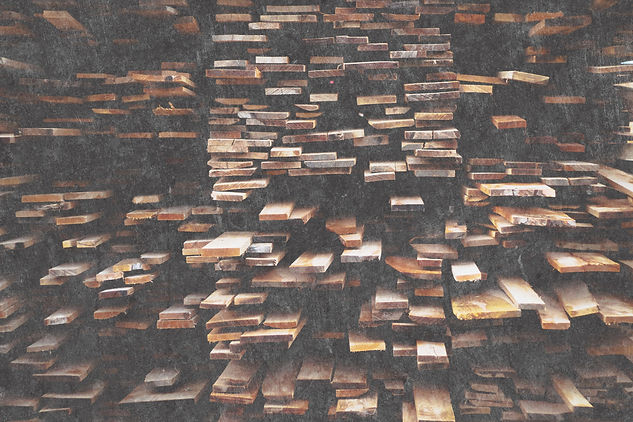 Wood Piles_edited.jpg