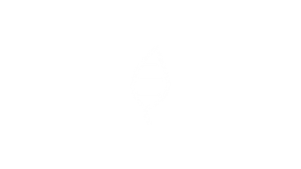 AlegriaRetrats_Logo_Digital_15.png
