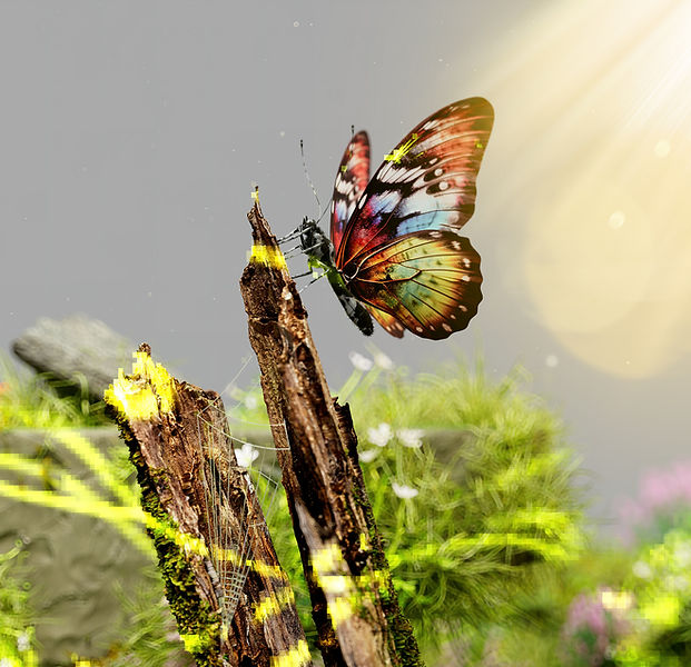 Glitch Butterfly in Nature_edited.jpg